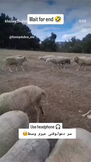 B4U funny 🤣 on Instagram: "Wait for end 🤣 use headphones #######"