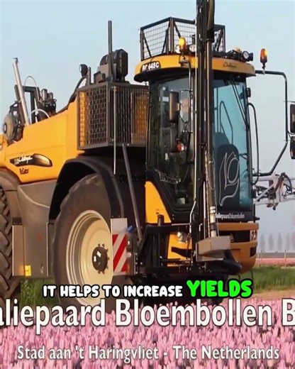 36 Meters of Precision: How to Spray Tulips Without Damaging the Petals farming #farming #facts
