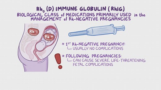 Video: Rho(D) immune globulin: Nursing pharmacology - Video Explanation! | Osmosis | Osmosis