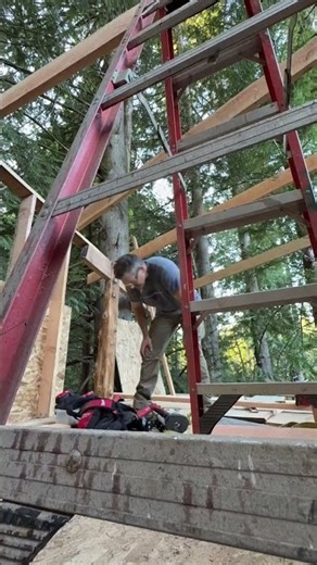 Day 33 | Building a Treehouse Sauna from Scratch #Shorts #SaunaBuild