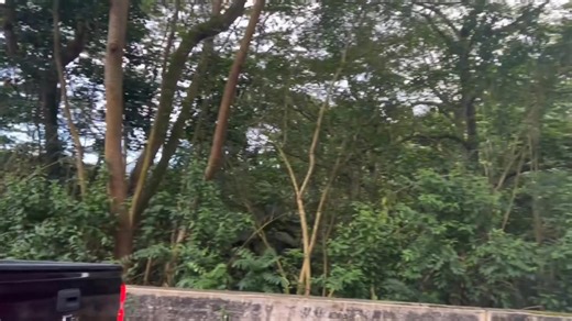 FIRST ALERT TRAFFIC: An outage impacting more than 13,000 customers in Windward Oahu is also affecting traffic. Malfunctioning lights are causing heavier than normal backups during the evening rush hour. Please drive with caution. | Hawaii News Now