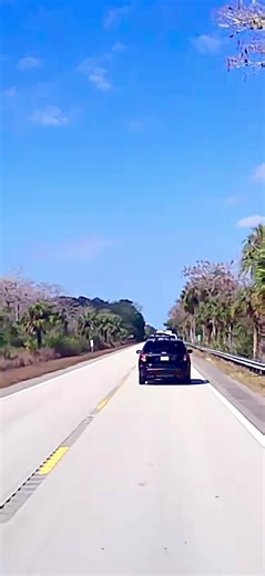 varon.correcto (@varon.correcto)’s videos with sonido original - varon.correcto