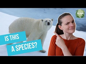 What is a species? Scientists still don't know!