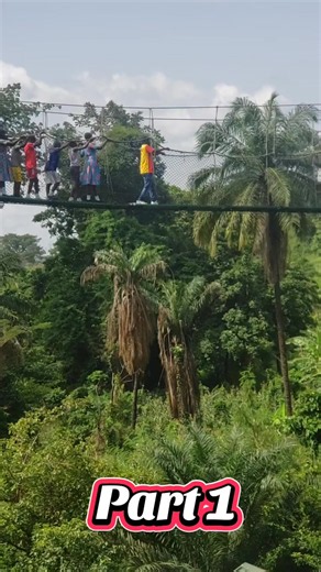 POV: The teacher planned the adventure... but forgot to tell fear! 😂🌉 Leading the students across the canopy walk like a true role model... while silently negotiating with every step. 😅🌳 Bravery isn't the absence of fear—it's walking through it anyway! 💪🍃 #CanopyWalk #TeacherLife #kintampowaterfalls #SchoolAdventure #LearningBeyondTheClassroom