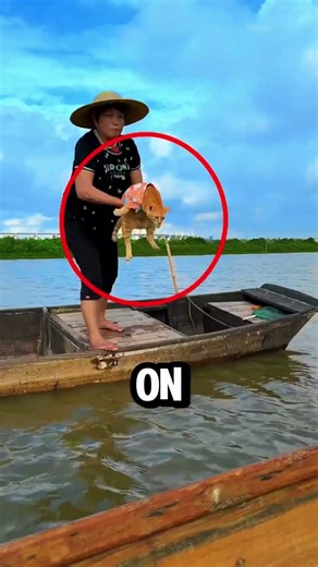 Think All Cats Hate Water? Watch This. 😳