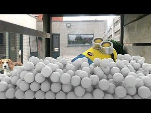 Minions in real LIFE playing outside