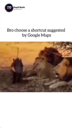 When Google Maps takes you through the wrong neighborhood 🦁💀 #shorts #memes