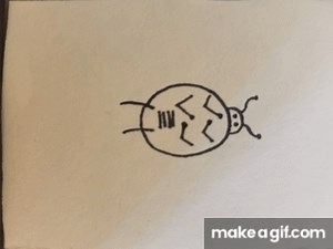 Dancing Ladybug on Make a GIF