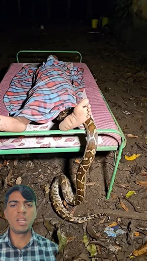 Giant Python Sneaks Into Man’s Bed While He Sleeps! 😱🐍