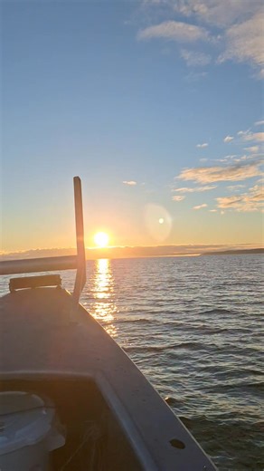 The post-Thanksgiving sun! | Bootstrap Seafood Company