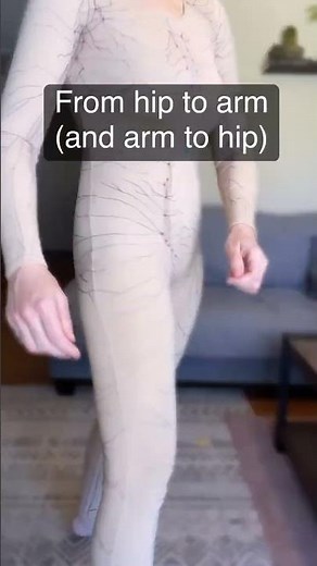 How lymph moves across your body