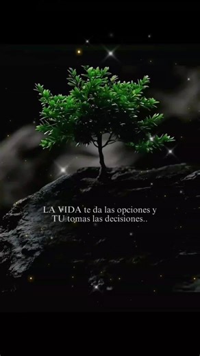 Videos de Marian @t.. (@marian.at1) con “Feelings - Jurrivh”