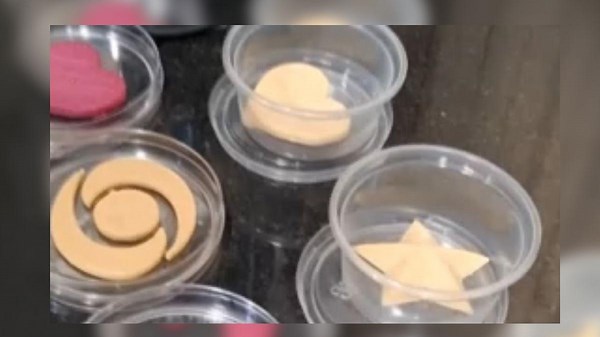 NDRI unveils India’s first 3D-Printed barfi and sandesh