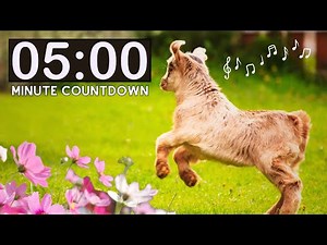 Relaxing Nature Farm Goats | 5 Minute Countdown Kids Timer | Spring Animals | Classroom Management