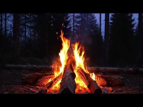 Crackling Fire Sounds 🔥 Fireplace ASMR for Stress Relief & Better Sleep