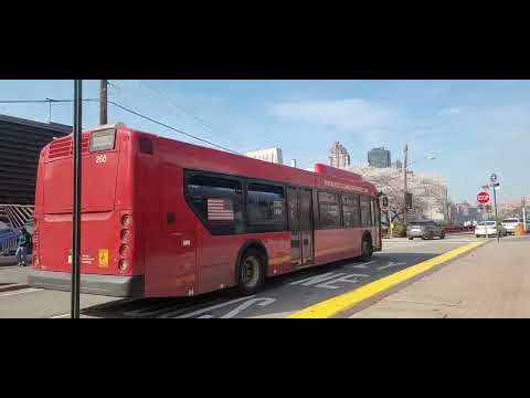 RIOC (Roosevelt Island Operating Corp) New Flyer XD40 #250 at Roosevelt Island