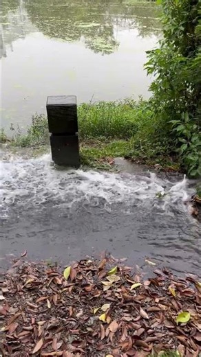 Prueba de Campo Bomba de Agua a Gasolina BISON 🚜 Potencia y Caudal #Irrigation #Gas #WaterPump