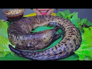 ASMR HUGE Marbled Eel , EATING SOUNDS | LINH-ASMR