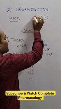 Organization of ANS | Difference in the origin of sympathetic & parasympathetic fibers