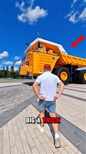 Human vs Giant: You Won’t Believe the Scale! 📏🔥