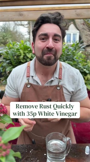 Save those rusty tools with a simple bottle of 35p Distilled Whote Vinegar. A simple yet effective way to get your secateurs, snips and other rust covered hand tools ready for this year. Remember to rinse off afterwards and use an oil to protect them from damage in the future #whitevinegar #gardeningtips #gardenhacks #lifehack #todayinthegarden