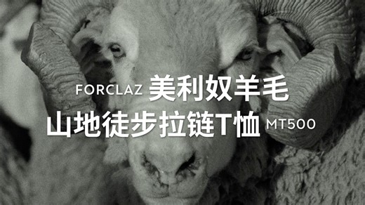 迪卡侬MT500｜美利奴羊毛山地徒步拉链T恤