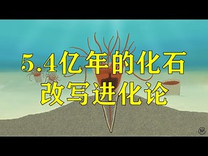 5 4亿年的化石正在改写进化论（Salterella）