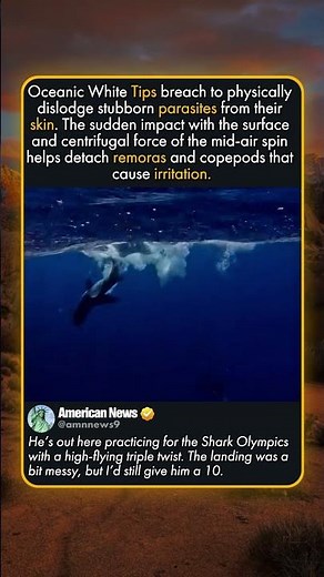 WHY DO SHARKS JUMP OUT