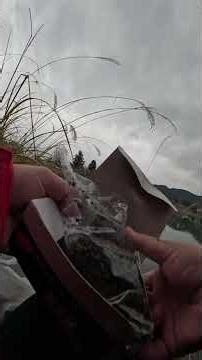静寂の湖畔で釣り糸を垂れる…癒しの瞬間をあなたへ🌊🎣