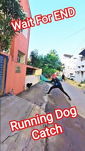 Running Dog Catch City 😲#dogwithpublicsafety #ytviral #shorts #shortsfeed #pets #dog