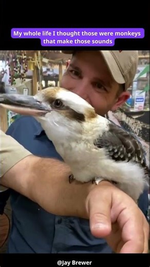 As a kid we use to hear that on them old Tarzan movies! #humor #funny #reels