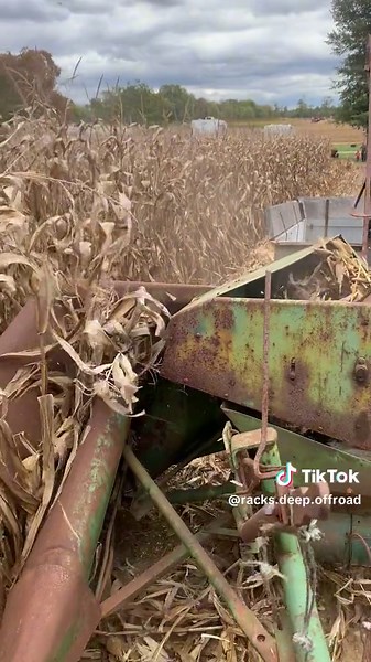 520 john deere picking corn with the #18 corn picker #JD520 #johndeere #corn