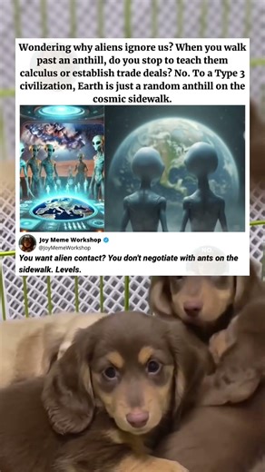 The Real Reason Aliens Completely Ignore Us... #memes #funny #pets