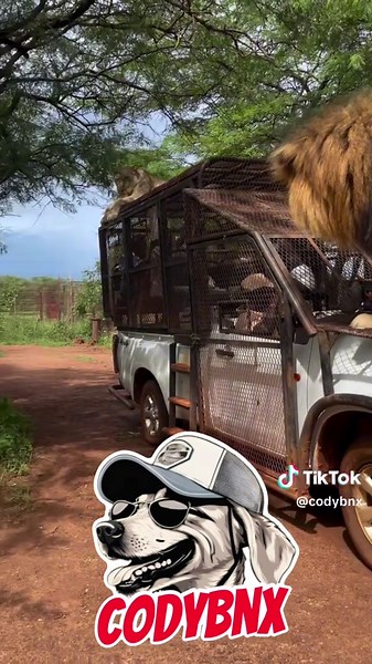 Codybnx (@codybnx)’s videos with original sound - Codybnx