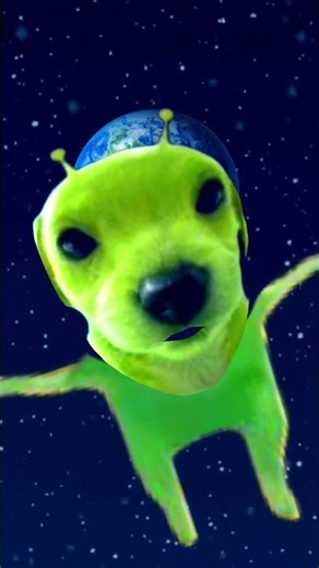 El perrito más mono y alíen 👽👽