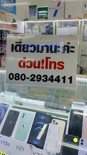 รับสมัครเพื่อนเล่น1ตำแหน่ง#ความสุขของฉัน #สี่ขาแสนรัก #แมวตลก #คนรักหมาแมว #เจ้าแมวอ้วน #ทาสแมว