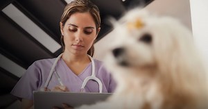 Zoetis’s CEO and Chief Digital Officer Talk Transformation