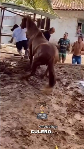 si te ríes pierdes el nivel más imposible 😂 #viral #humor