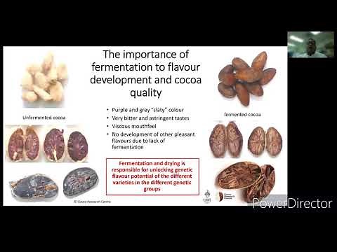 Monitoring cacao fermentations to optimise bean and flavour quality - CARDS 2021