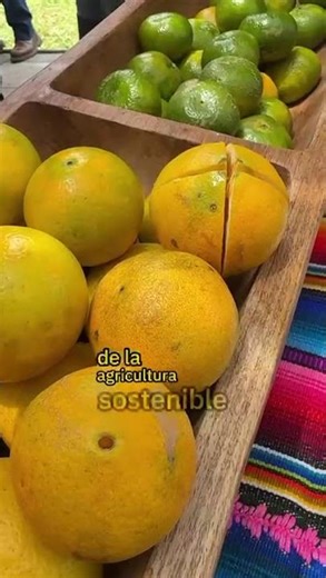 🚜 ¿Cómo se construyen mercados realmente sostenibles? | FIAP