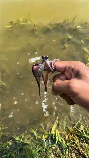 Little Magic Happens 🪄