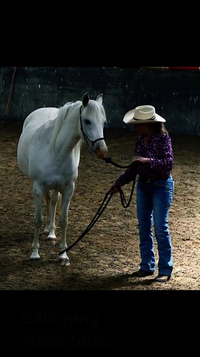 1K views · 50 reactions | Cowboy Dressage and Horsemanship with Jen Hawkins Holistic Equine Education and Shahwan Park Arabians | Jen Hawkins | Facebook