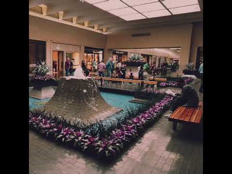 Mall Music Ambient Soundscape Ambiance Busy Mall - background noise and music by Muzak