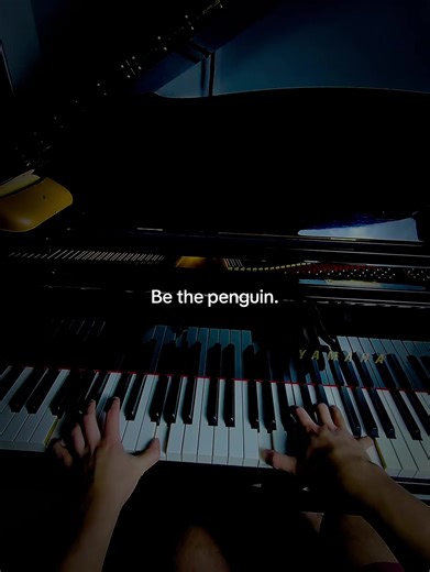 Song by L’amour Toujours. #piano #lamourtoujours #bethepenguin #pianocover #pianomusic
