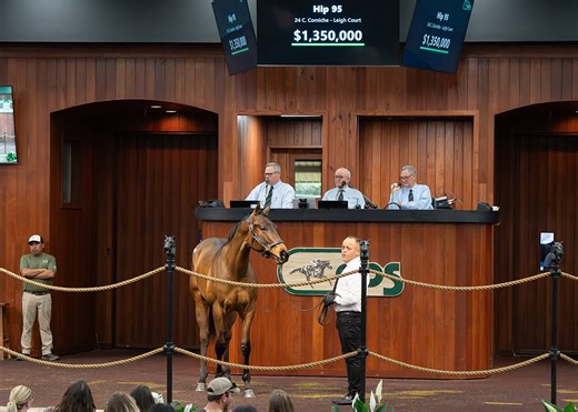 Corniche Colt To Legion Bloodstock For $1.35-Million