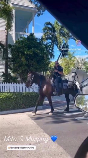 Key West Police Department Recruiting on Reels