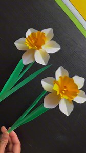 Learn how to make these stunning paper daffodils with just a few simple folds and cuts. Perfect for brightening up any space—no watering needed! ☀️🌿#PaperCrafts #DIYFlowers #SpringVibes #springcrafts #paperdaffodils #daffodils #daffodil #paperflowers #paperdiy #diy #papercrafts #diyflowers #paper #crafts What’s on your craft list this season? Let me know in comments. | Craftish Corner