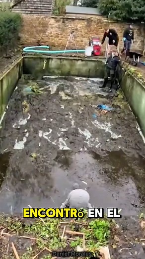 Está vieja piscina ocultaba algo desconocido #MysteryStory #CreepyFind #PoolMystery #RealStory #Suspenso #HistoriaMisteriosa #Curiosidades #MisterioReal #ShockMoment #UnexpectedFind #CinematicReel #Parte2 #HistoriasQueEnganchan #NarrativaCinematográfica #TCM #ReelsFacebook #FBReels #ViralReels #HistoriaDeSuspenso #ContenidoViral #MisterioOculto #NoLoVasACreer #DescubrimientoImpactante | Daniel Morales