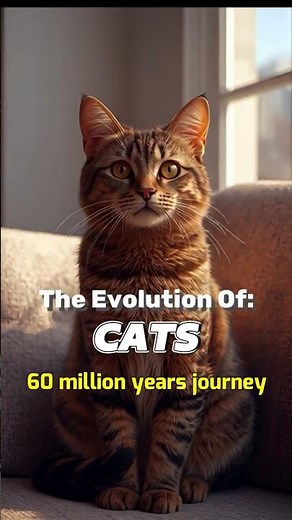 The Evolution of Cats 🐾 #evolution #cats #shorts