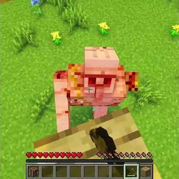 Minecraft BUT no touching a COLOR🎨